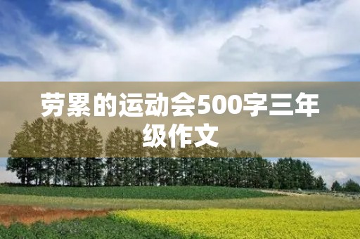 劳累的运动会500字三年级作文