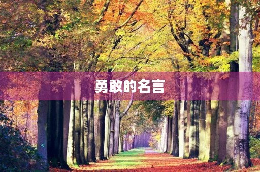 勇敢的名言,勇敢的名言经典短句 勇敢的名言,勇敢的名言经典短句