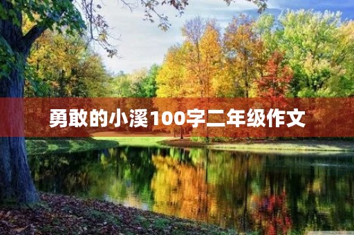 勇敢的小溪100字二年级作文 勇敢的小溪100字二年级作文