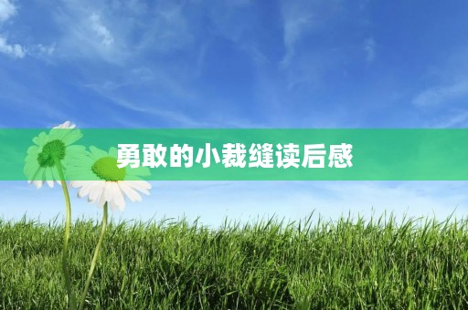勇敢的小裁缝读后感 勇敢的小裁缝读后感