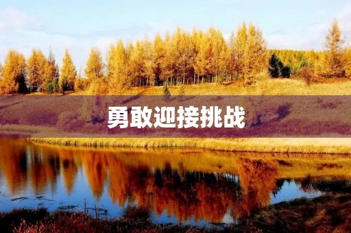 勇敢迎接挑战 勇敢迎接挑战