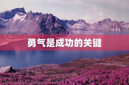 勇气是成功的关键