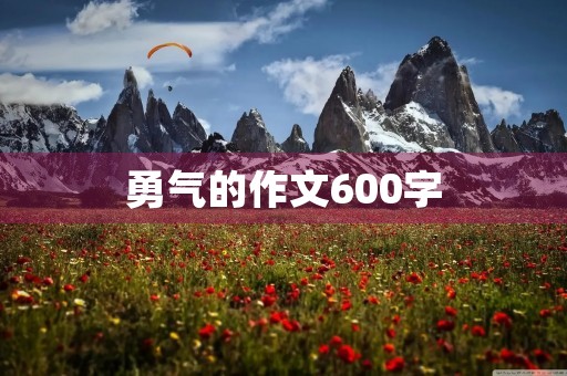 勇气的作文600字 勇气的作文600字