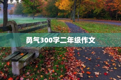 勇气300字二年级作文