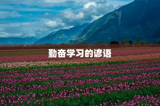 勤奋学习的谚语