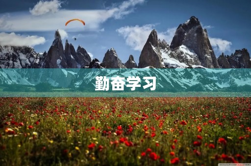 勤奋学习,成就未来 勤奋学习,成就未来