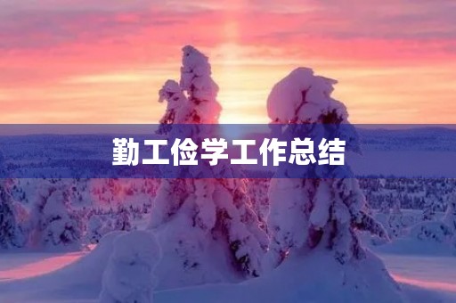 勤工俭学工作总结