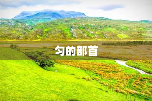 匀的部首(匀组词)