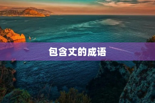 包含丈的成语