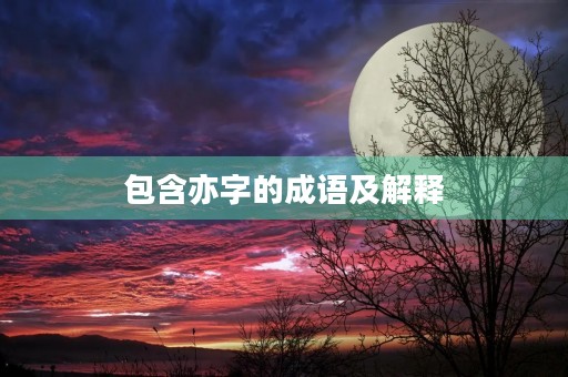 包含亦字的成语及解释