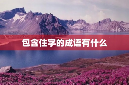 包含住字的成语有什么