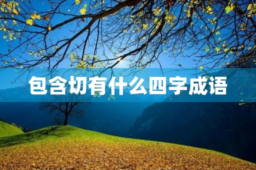 包含切有什么四字成语
