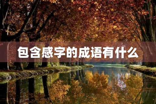 包含感字的成语有什么