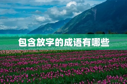 包含放字的成语有哪些 包含放字的成语有哪些