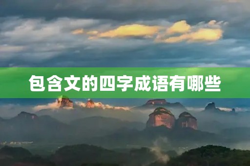包含文的四字成语有哪些