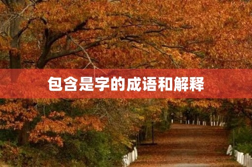 包含是字的成语和解释