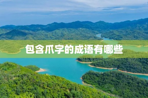 包含爪字的成语有哪些