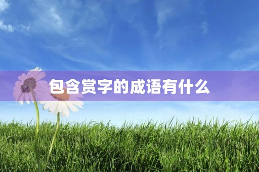 包含赏字的成语有什么 包含赏字的成语有什么