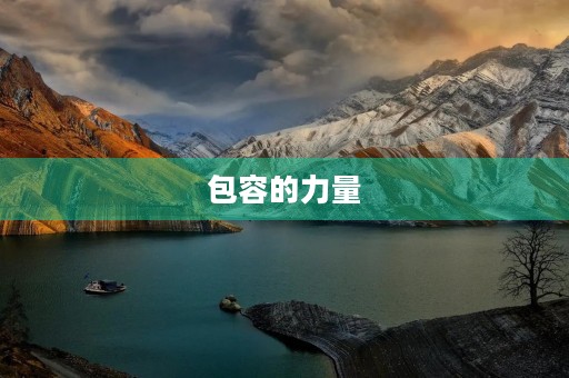 包容的力量 包容的力量