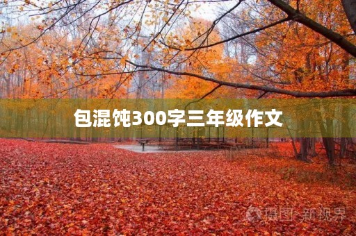 包混饨300字三年级作文