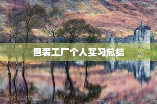 包装工厂个人实习总结