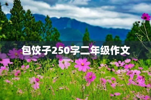 包饺子250字二年级作文