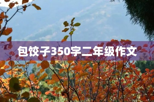 包饺子350字二年级作文