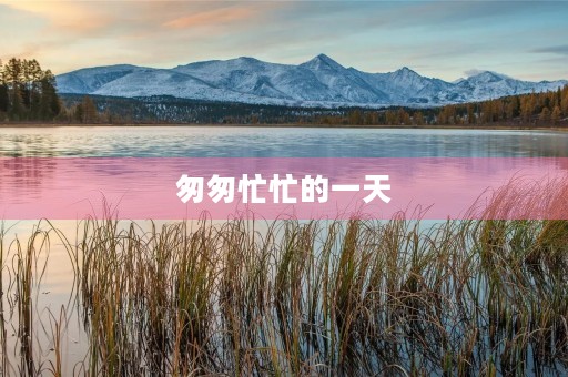 匆匆忙忙的一天