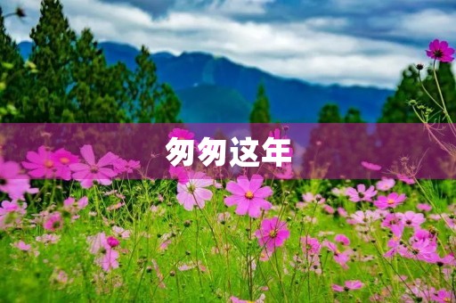 匆匆这年