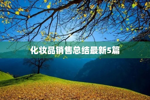 化妆品销售总结最新5篇