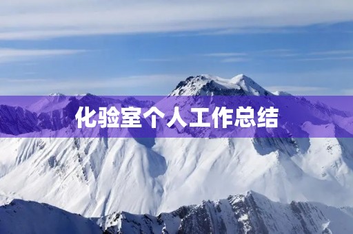 化验室个人工作总结