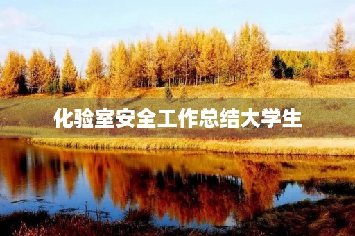 化验室安全工作总结大学生