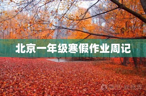 北京一年级寒假作业周记 北京一年级寒假作业周记