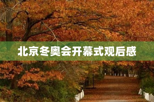北京冬奥会开幕式观后感