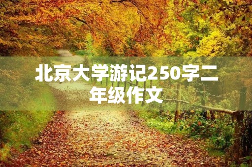 北京大学游记250字二年级作文