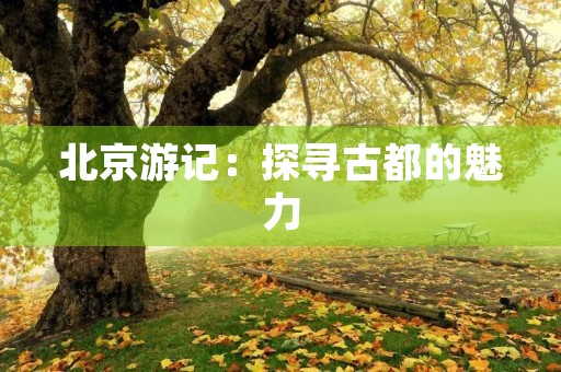北京游记:探寻古都的魅力 北京游记:探寻古都的魅力
