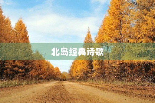 北岛经典诗歌