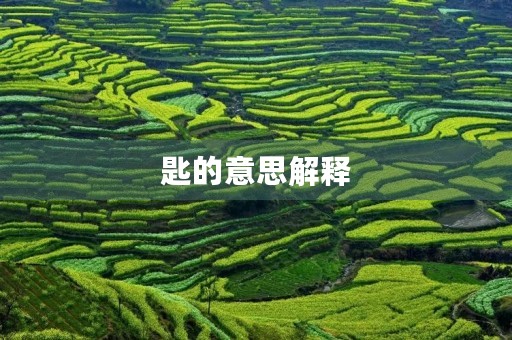 匙的意思解释(匙的拼音)