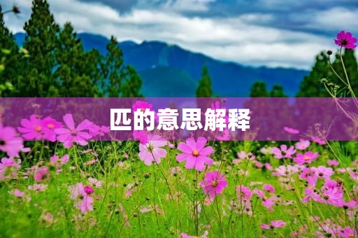 匹的意思解释(匹) 匹的意思解释(匹)