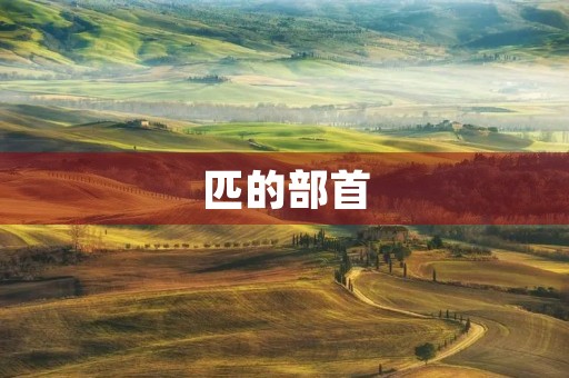 匹的部首(匹的读音) 匹的部首(匹的读音)