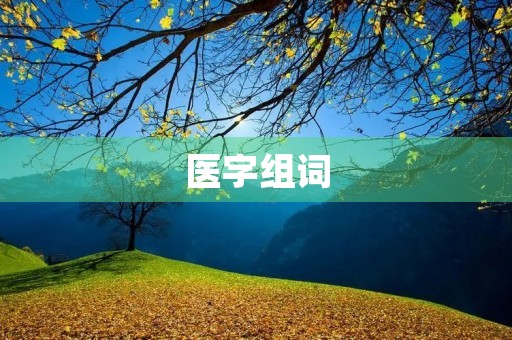 医字组词(医的组词) 医字组词(医的组词)