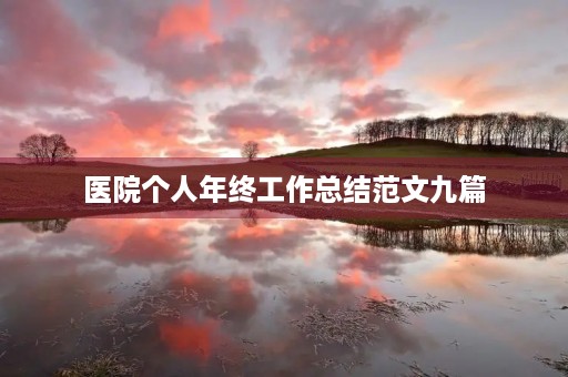 医院个人年终工作总结范文九篇