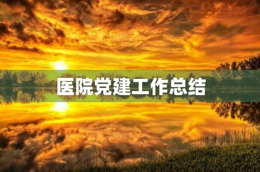 医院党建工作总结