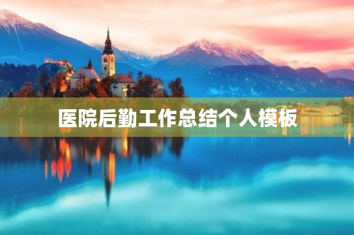 医院后勤工作总结个人模板