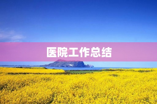 医院工作总结