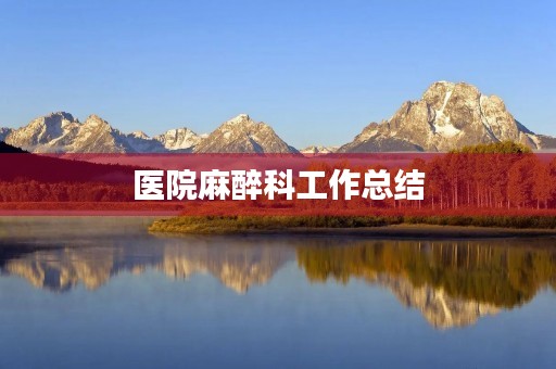医院麻醉科工作总结