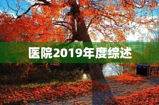 医院2019年度综述