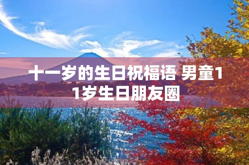 十一岁的生日祝福语 男童11岁生日朋友圈