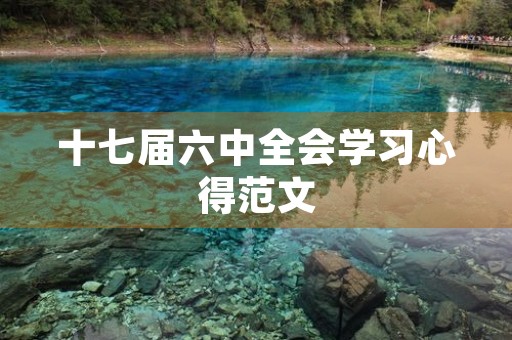 十七届六中全会学习心得范文