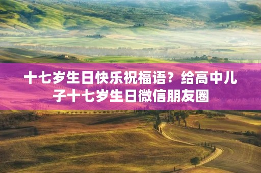 十七岁生日快乐祝福语？给高中儿子十七岁生日微信朋友圈